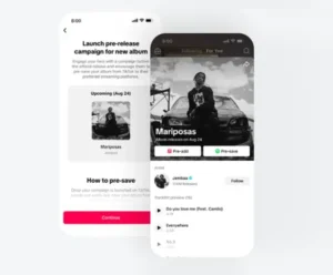 TikTok Launches New Platform to Help Musicians Maximize Their In-App Presence