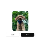 Threads Adds Image Sharing in DMs