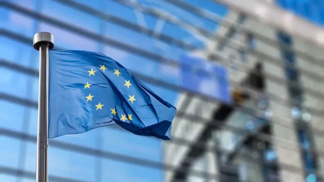 Meta and TikTok Win Legal Challenge Over EU Supervisory Fees