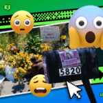 Influencers Are Cashing In On Nancy Guthrie