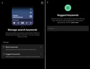 TikTok lets users add relevant keywords to metadata
