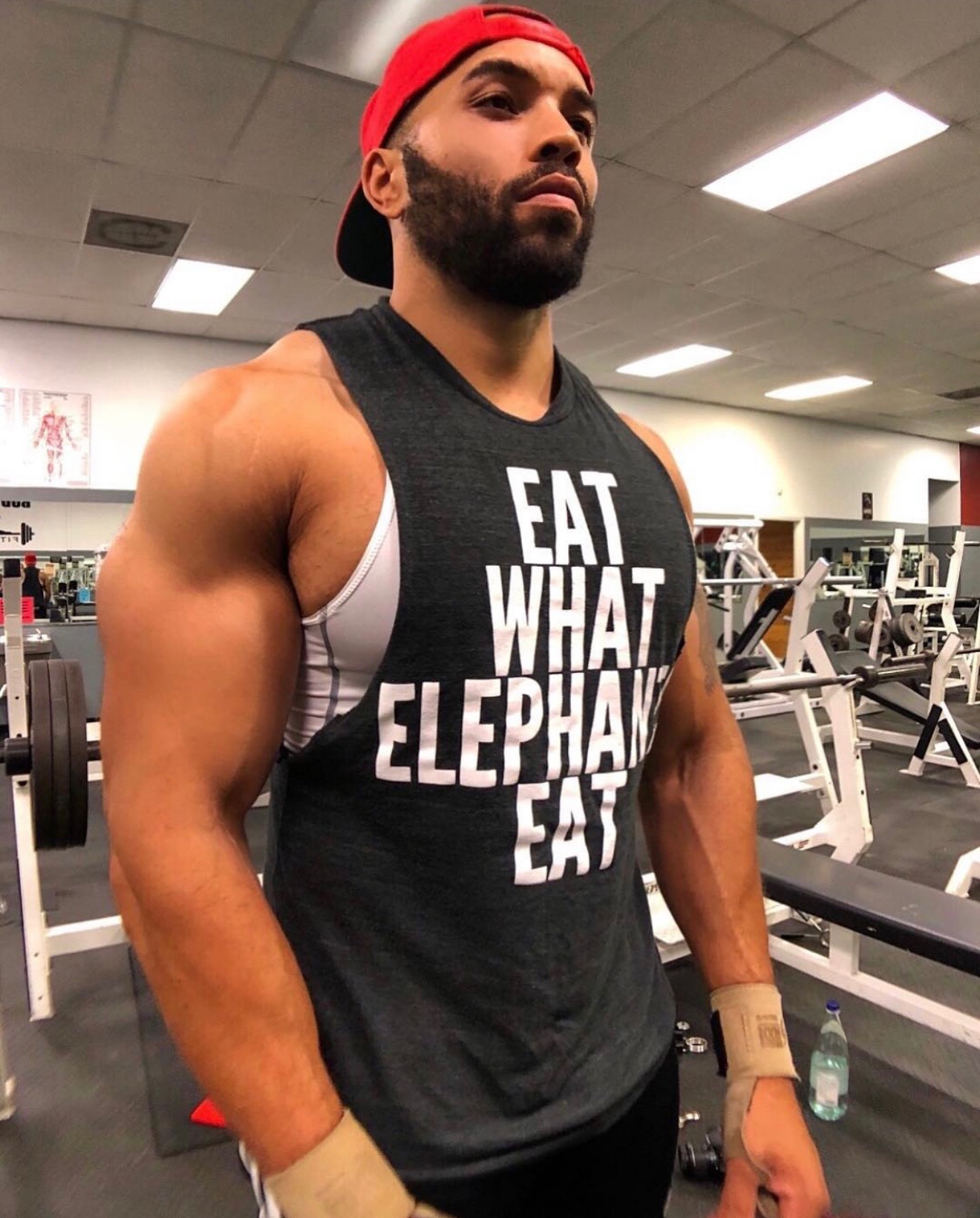 A muscular man in the gym wearing a sleeveless shirt that says eat what elephants eat
