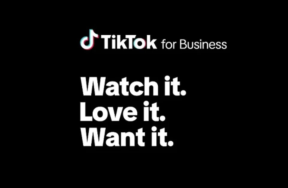 TikTok launches international ad platform campaign